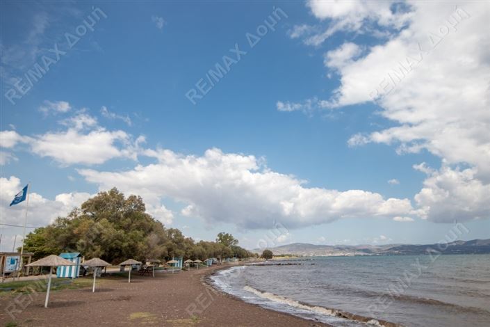 Image No.9-Propriété à vendre à Center