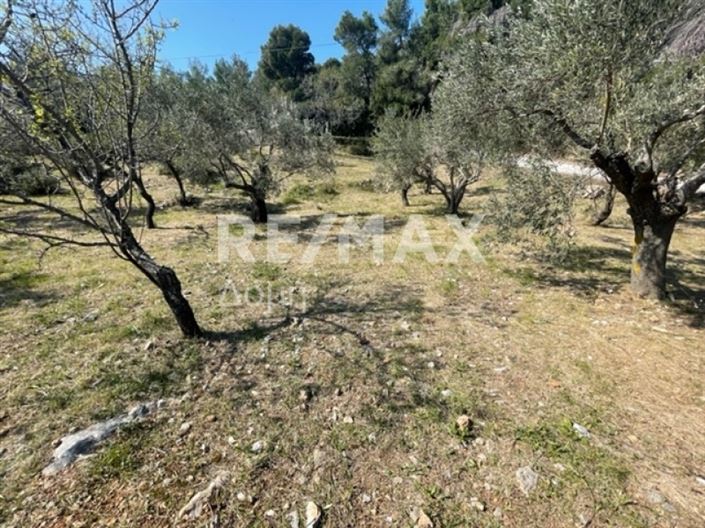 Image No.1-Propriété à vendre à Alonnisos