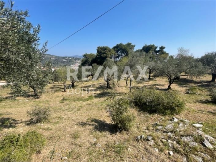 Image No.10-Propriété à vendre à Alonnisos