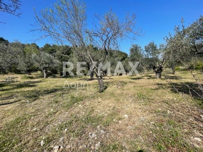 Image No.11-Propriété à vendre à Alonnisos