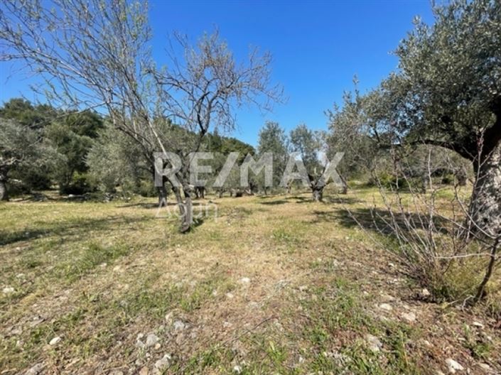 Image No.12-Propriété à vendre à Alonnisos