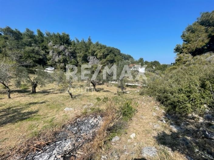 Image No.13-Propriété à vendre à Alonnisos