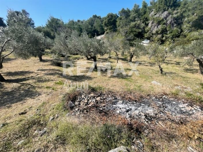 Image No.14-Propriété à vendre à Alonnisos