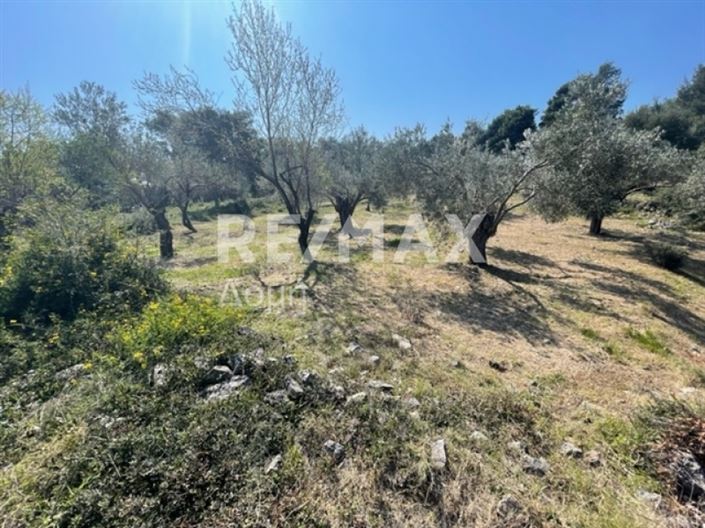 Image No.15-Propriété à vendre à Alonnisos