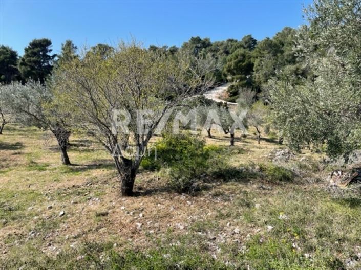 Image No.16-Propriété à vendre à Alonnisos