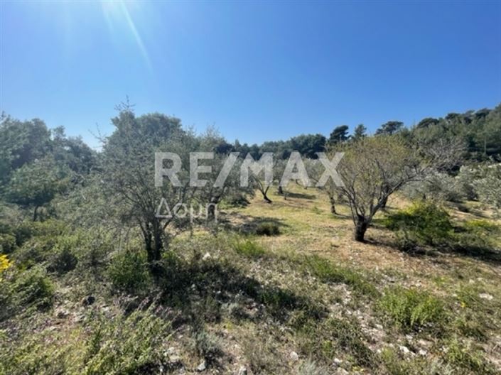 Image No.17-Propriété à vendre à Alonnisos