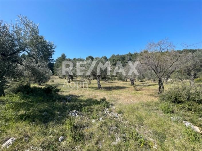 Image No.18-Propriété à vendre à Alonnisos