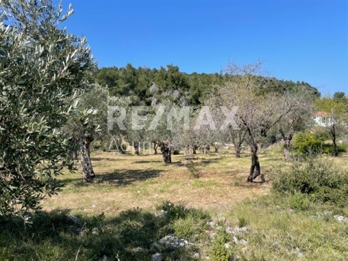 Image No.19-Propriété à vendre à Alonnisos