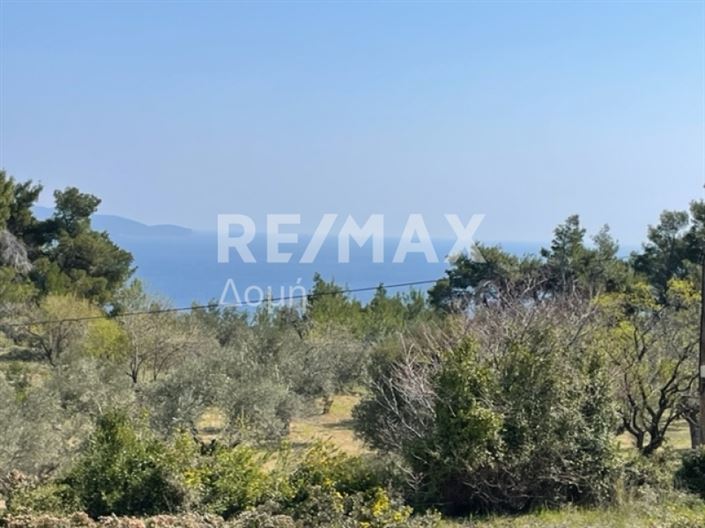 Image No.2-Propriété à vendre à Alonnisos