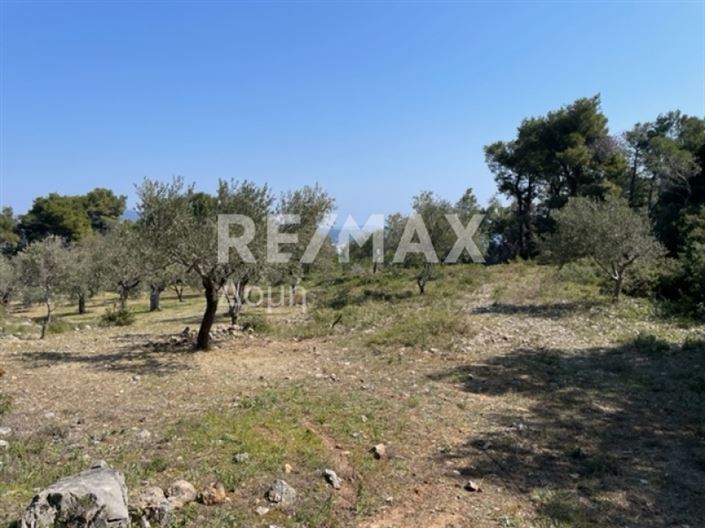 Image No.23-Propriété à vendre à Alonnisos