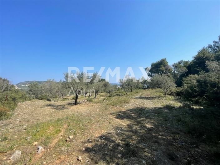 Image No.24-Propriété à vendre à Alonnisos