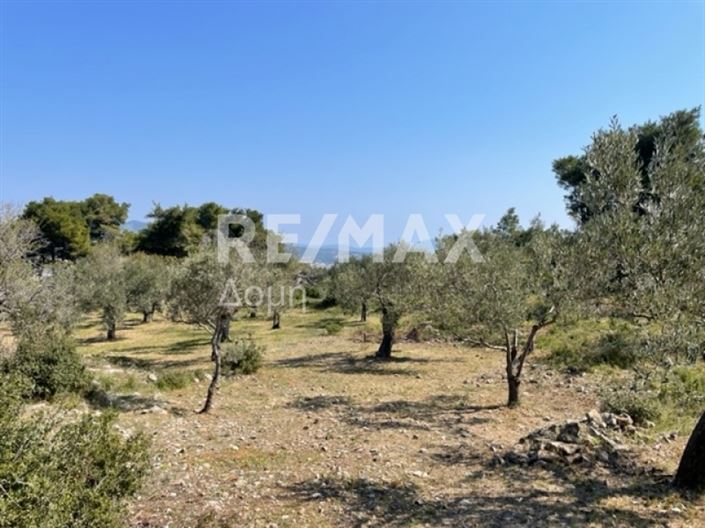 Image No.25-Propriété à vendre à Alonnisos