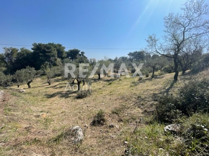 Image No.26-Propriété à vendre à Alonnisos