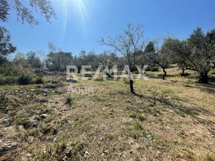 Image No.4-Propriété à vendre à Alonnisos