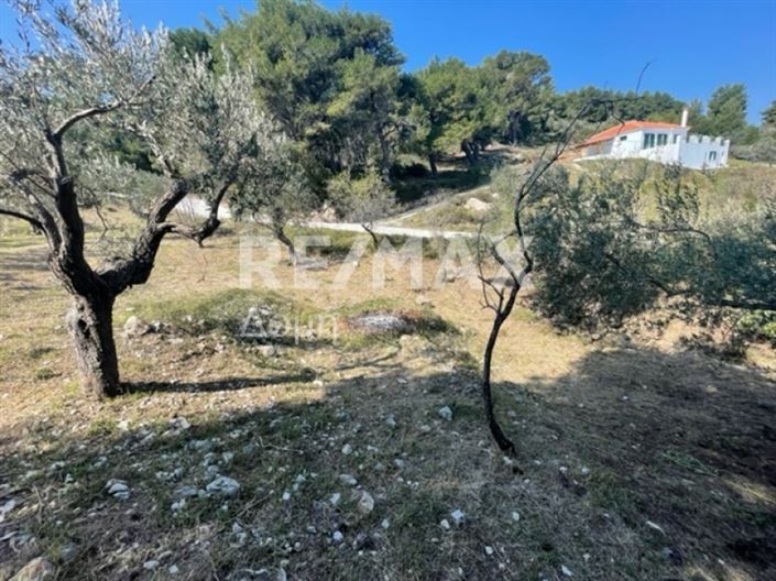 Image No.6-Propriété à vendre à Alonnisos