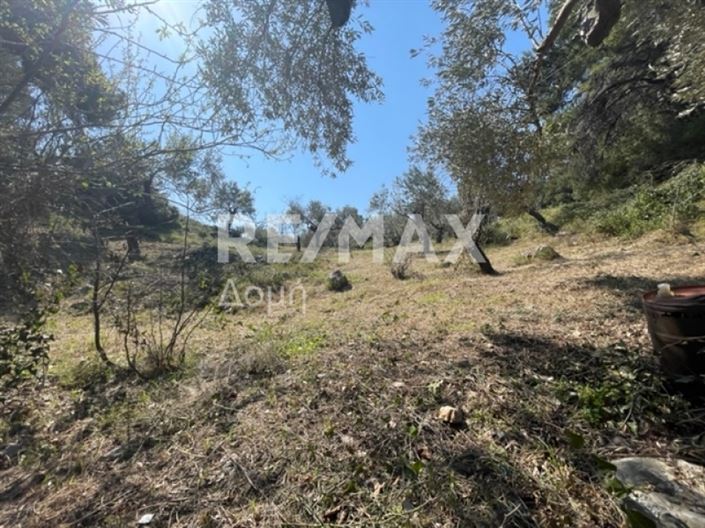 Image No.7-Propriété à vendre à Alonnisos