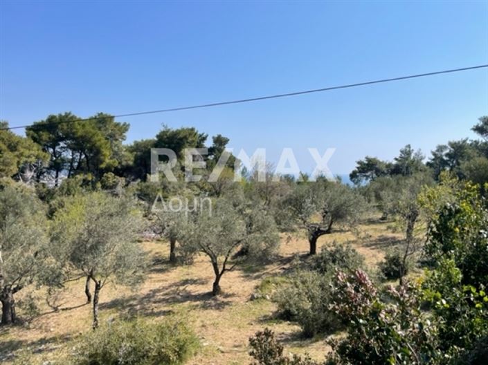 Image No.8-Propriété à vendre à Alonnisos