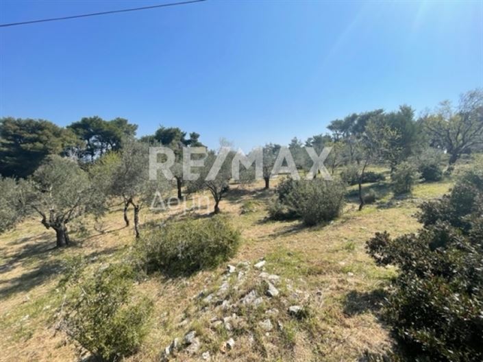 Image No.9-Propriété à vendre à Alonnisos