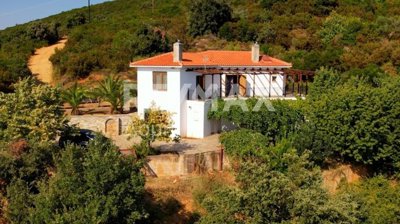 1 - Platania, House
