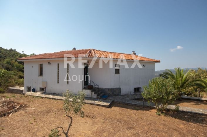 Image No.35-3 Bed House for sale