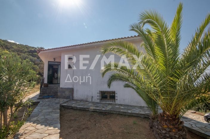 Image No.38-3 Bed House for sale