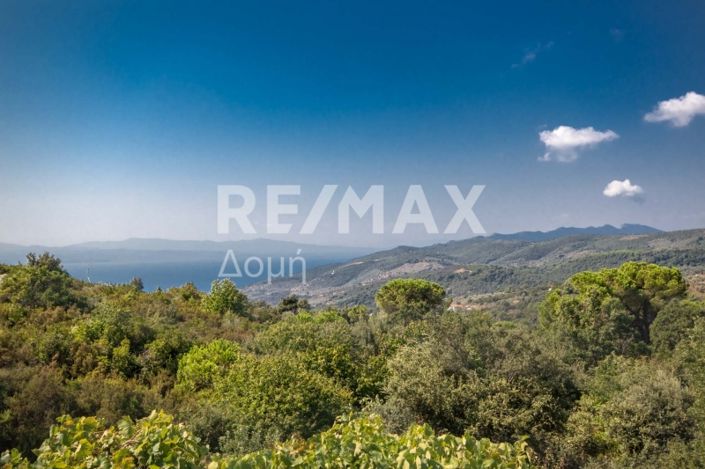 Image No.53-3 Bed House for sale