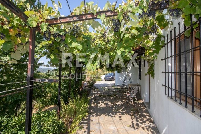 Image No.54-3 Bed House for sale