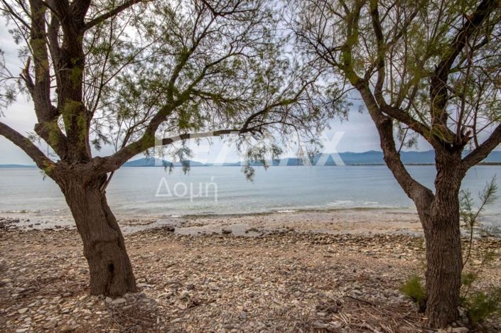 Image No.2-Property for sale