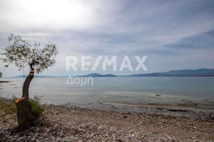 Image No.4-Property for sale