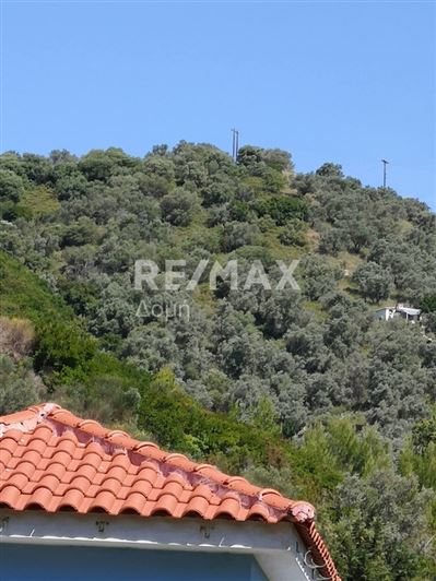 Image No.5-Terre à vendre à Skiathos