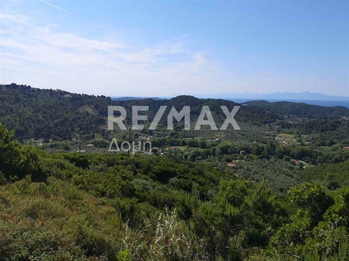 Image No.9-Terre à vendre à Skiathos