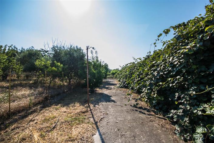 Image No.10-Terre à vendre à Artemida