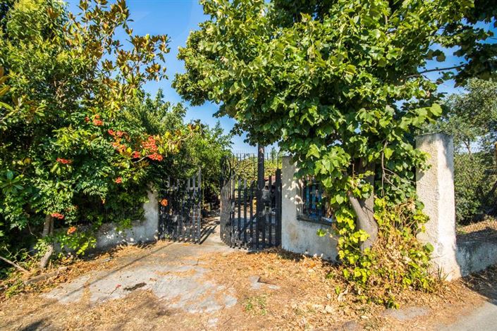 Image No.11-Terre à vendre à Artemida