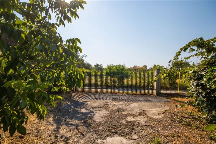 Image No.12-Terre à vendre à Artemida