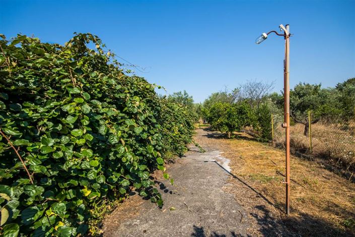 Image No.14-Terre à vendre à Artemida