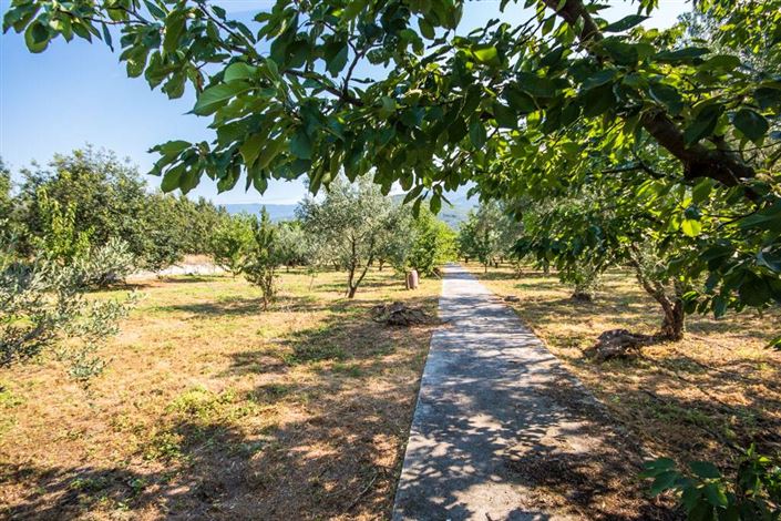 Image No.15-Terre à vendre à Artemida