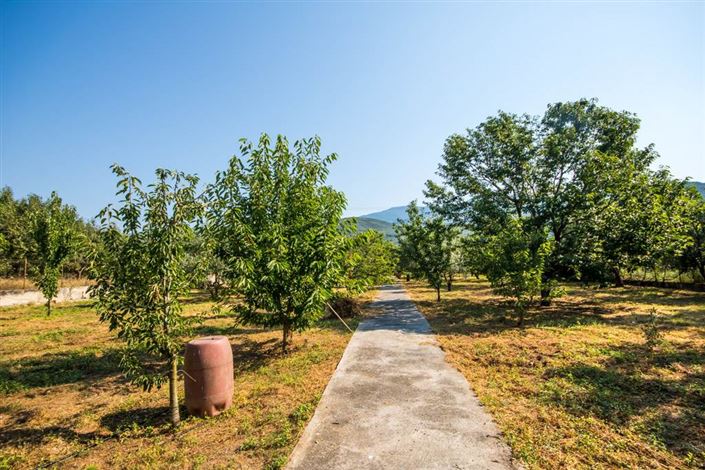 Image No.16-Terre à vendre à Artemida