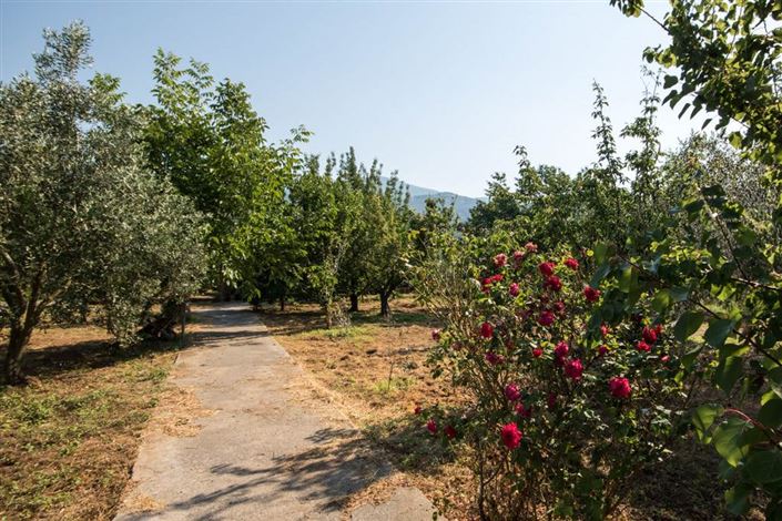 Image No.17-Terre à vendre à Artemida