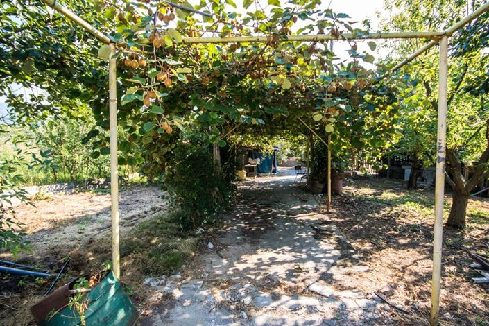 Image No.18-Terre à vendre à Artemida