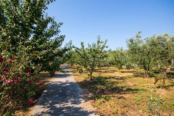 Image No.2-Terre à vendre à Artemida