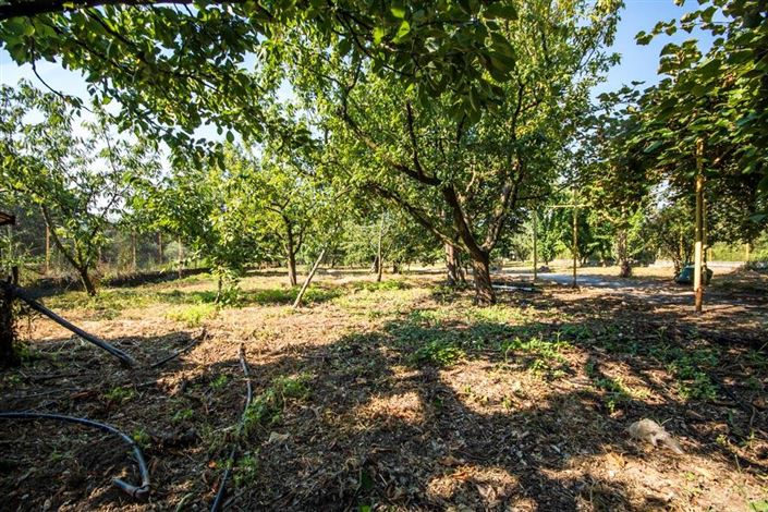 Image No.23-Terre à vendre à Artemida