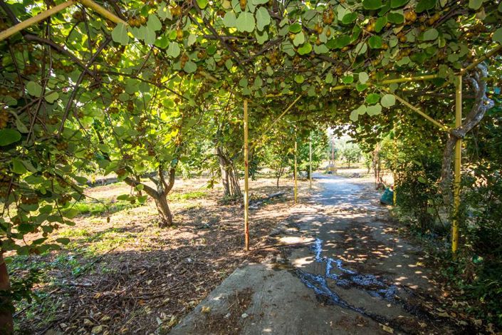 Image No.28-Terre à vendre à Artemida