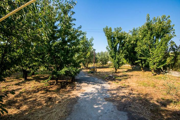 Image No.29-Terre à vendre à Artemida