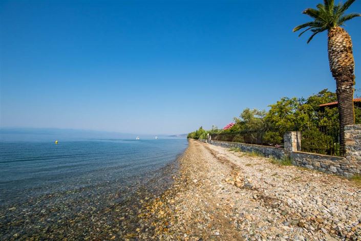 Image No.9-Terre à vendre à Artemida