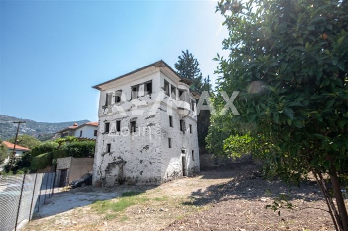 Image No.2-Manoir à vendre à Magnésie