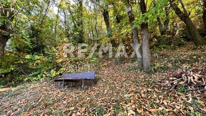 Image No.14-Maison de 2 chambres à vendre à Magnésie