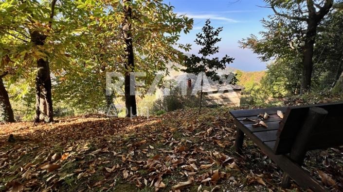 Image No.15-Maison de 2 chambres à vendre à Magnésie