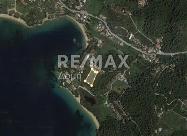 22813-81643413