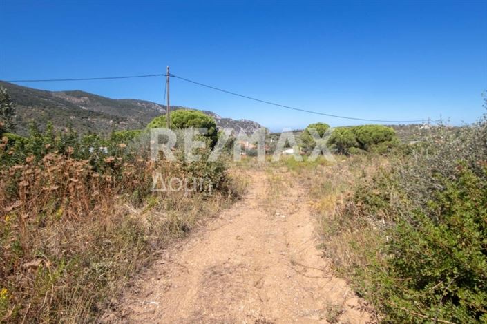 Image No.10-Propriété à vendre à Skiathos