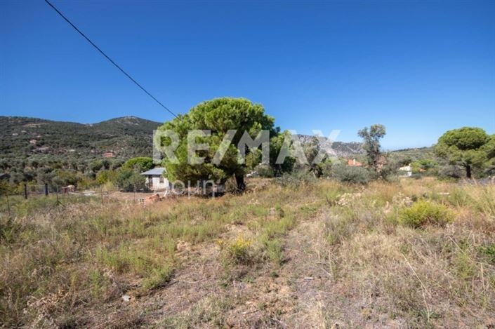 Image No.15-Propriété à vendre à Skiathos